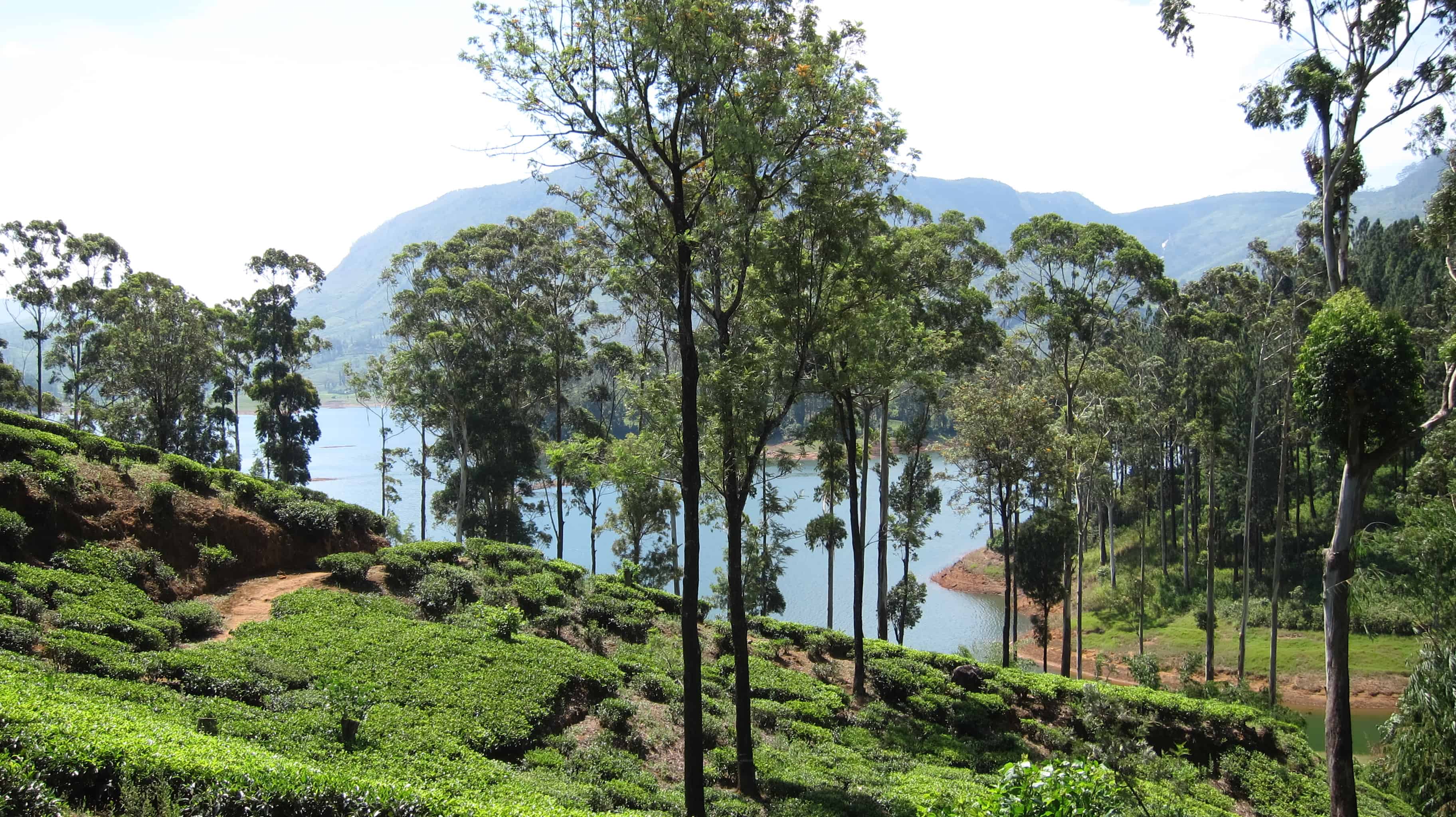 sri lanka hills