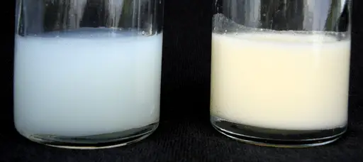 breastmilk foremilk vs hindmilk