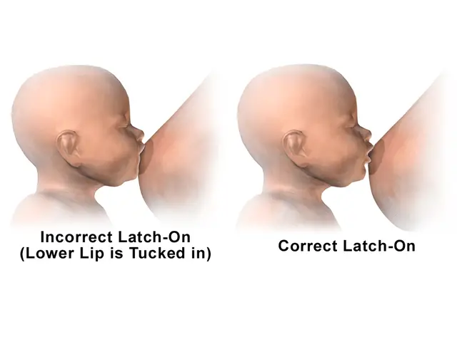 proper breastfeeding latch