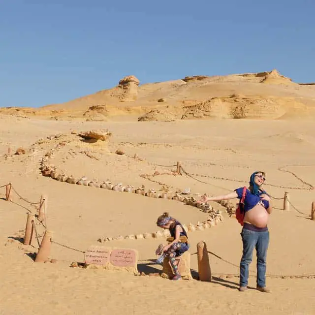 pregnancy travel to Egypt
