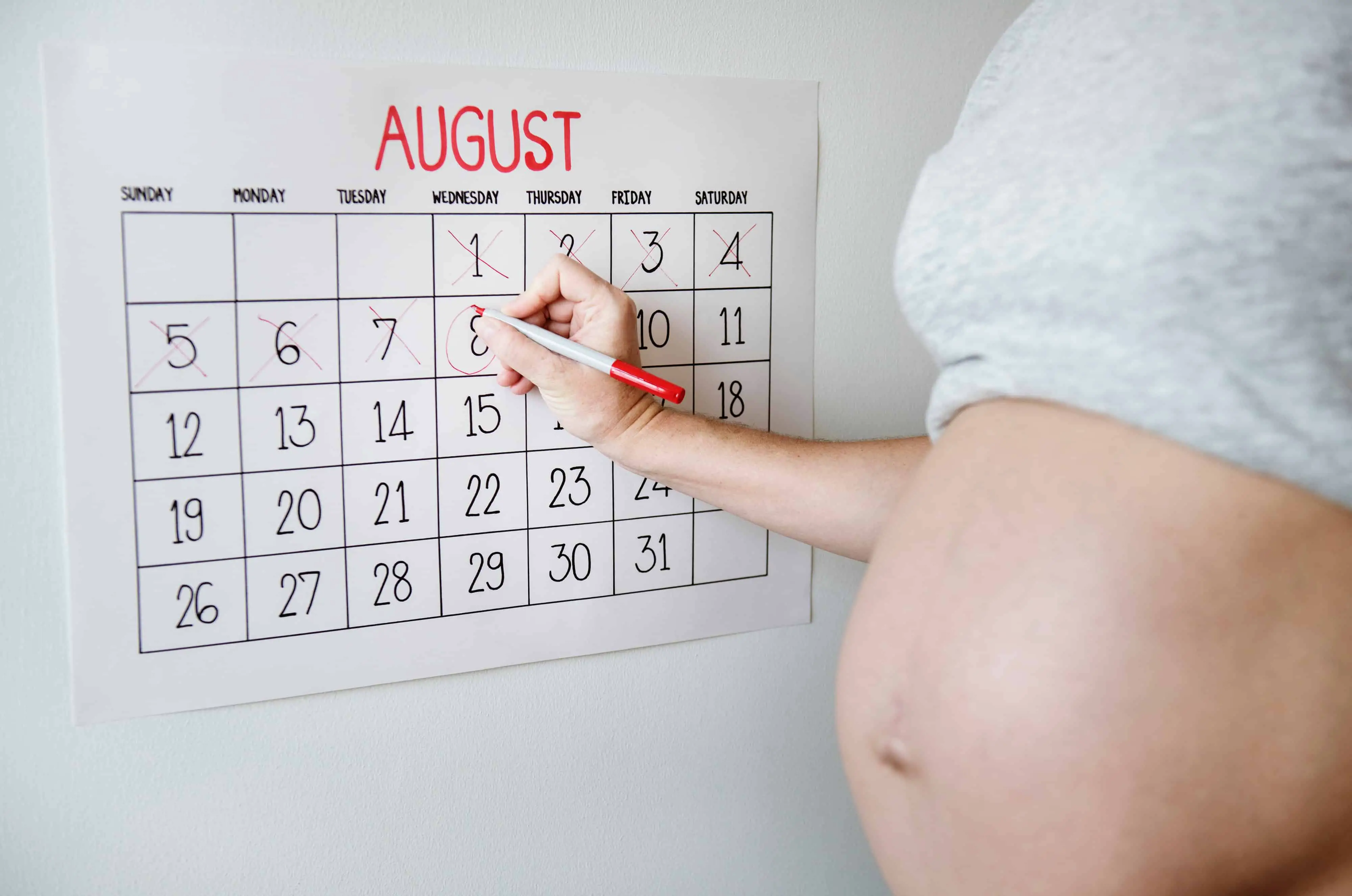 Pregnant woman calendar countdown