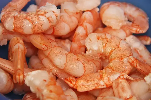shrimp and omega 3 foods for pregnant women