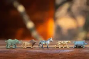 animals line up game