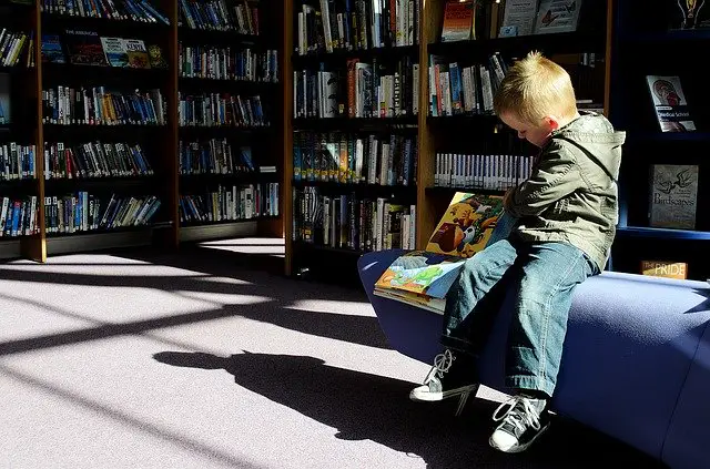 boy reading in library