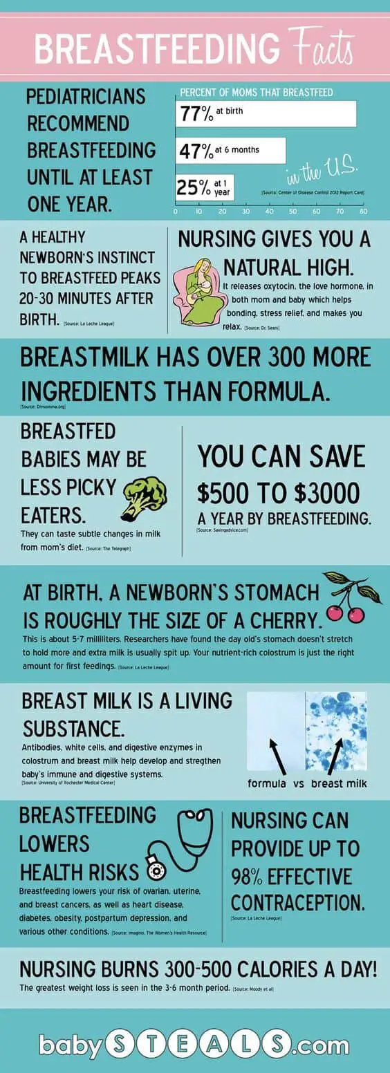 breastfeeding facts infographic