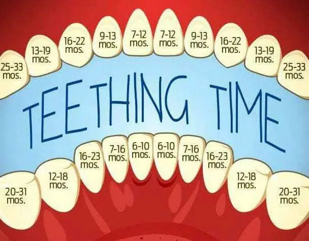 teething time